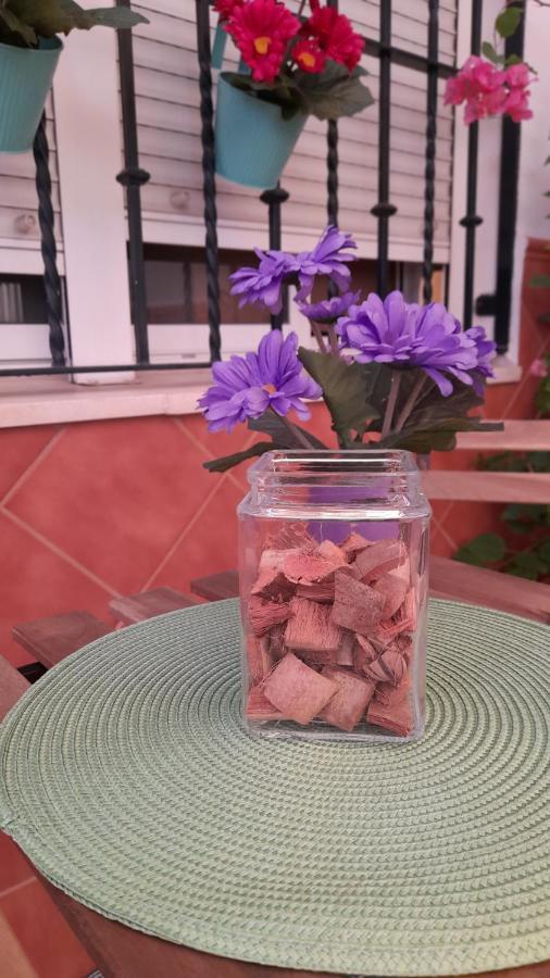 Casa Flamenca Villa Castilleja de la Cuesta Ngoại thất bức ảnh
